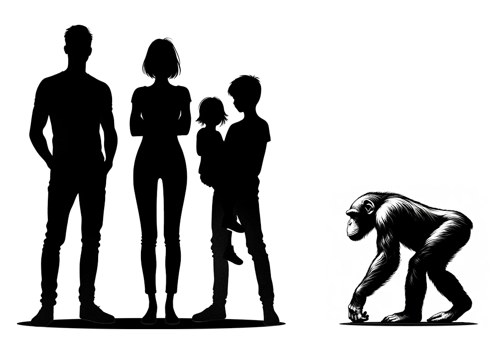 ヒトとチンパンジーのサイズ比較